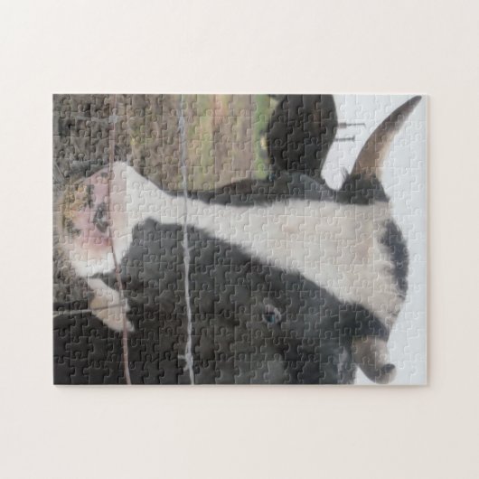 Hoofd koe legpuzzel (Horizontaal)