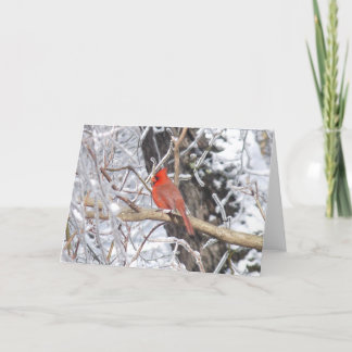 Hoofd 'nIjs Feestdagen Kaart