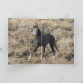 Hoofd op Wild Horse Wenskaart Kaart (Binnen)