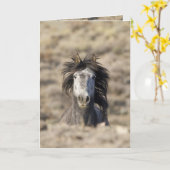 Hoofd op Wild Horse Wenskaart Kaart (Gele Bloem)