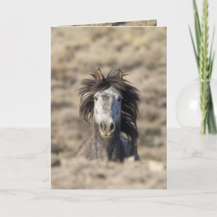 Hoofd op Wild Horse Wenskaart Kaart