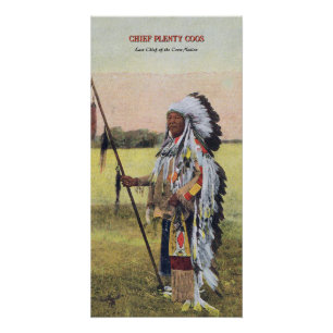 Hoofd Plenty Coos Notitieboek Perfect Poster
