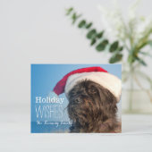 Hoofd portret van steenhoopterriër feestdagenkaart (Staand voorkant)