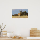 Hoofd Poster (Keuken)