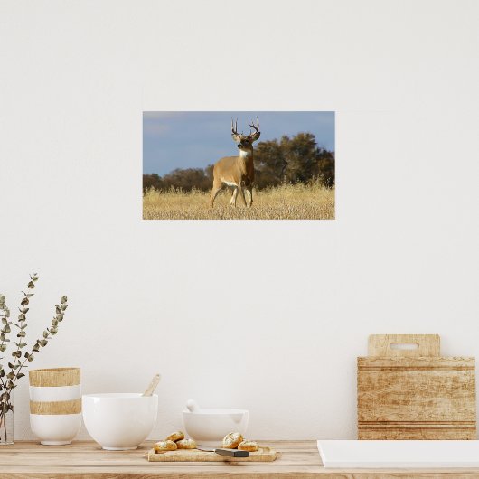 Hoofd Poster (Keuken)