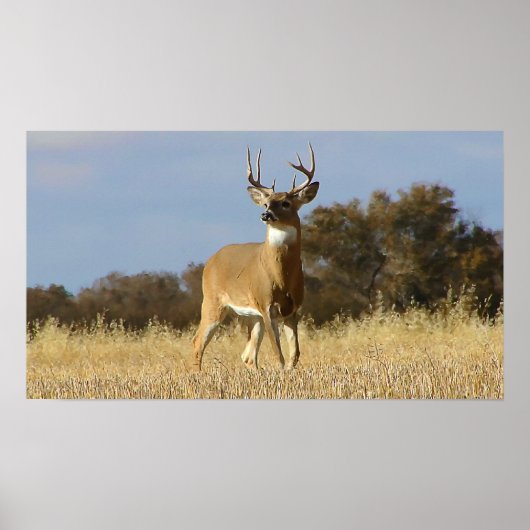 Hoofd Poster (Voorkant)