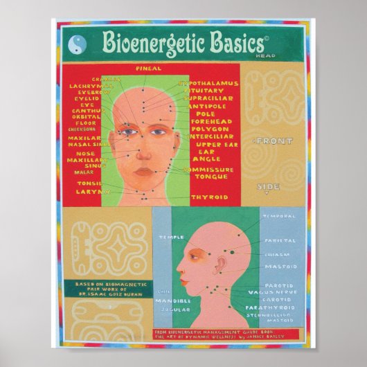 Hoofd Poster (Voorkant)