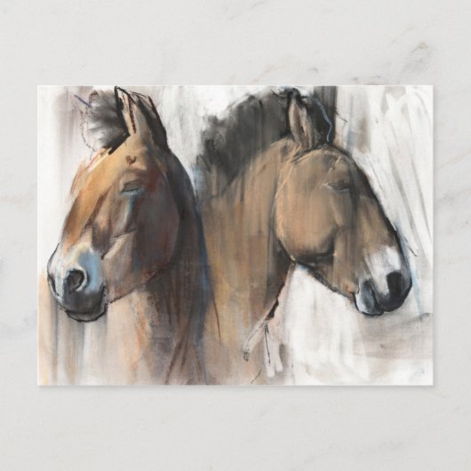 Hoofd Studie Briefkaart (Voorkant)