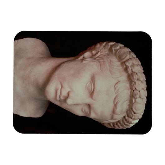 Hoofd van Caesar Augustus Magneet (Horizontaal)