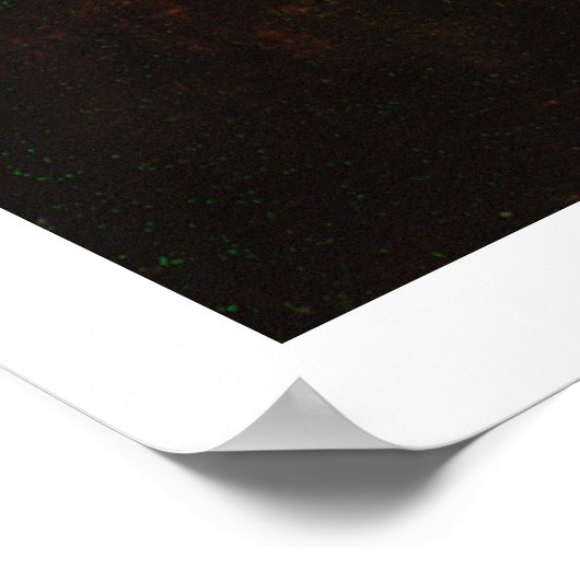 Hoofd van Christus, c.1648 (olie op canvas) Poster (Hoek)