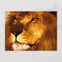 Hoofd van de African Lion