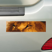 Hoofd van de African Lion Bumpersticker (Op auto)