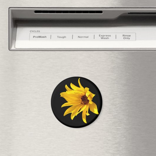 Hoofd van de gele maaltijd Helenium Magnet (Insitu (Vaatwasser))
