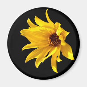 Hoofd van de gele maaltijd Helenium Magnet