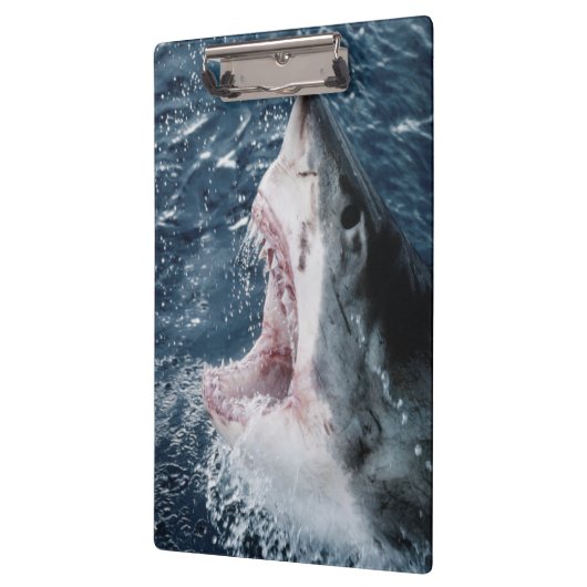 Hoofd van de grote witte haai klembord (Links)