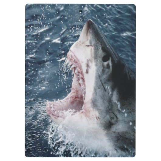 Hoofd van de grote witte haai klembord (Achterkant)