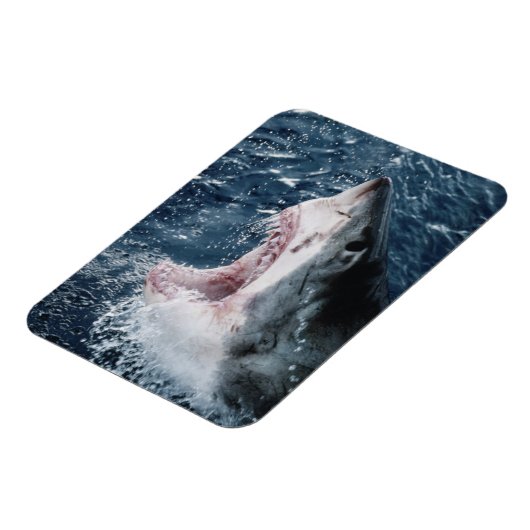 Hoofd van de grote witte haai magneet (Linkerzijde)