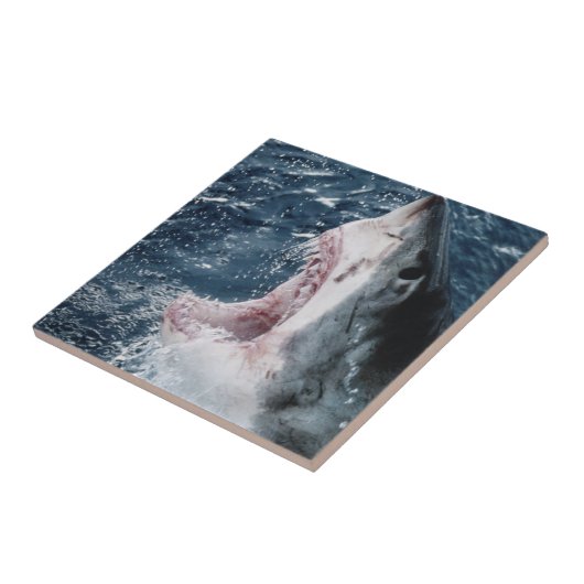 Hoofd van de grote witte haai tegeltje (Zijkant)