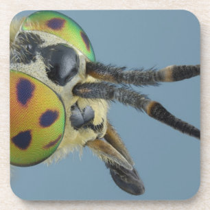 Hoofd van de hertenvlieg drankjes onderzetter