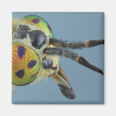 Hoofd van de hertenvlieg magneet (Voorkant)