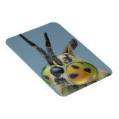 Hoofd van de hertenvlieg magneet (Rechterzijde)