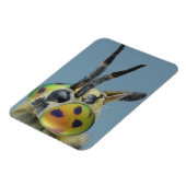 Hoofd van de hertenvlieg magneet (Linkerzijde)