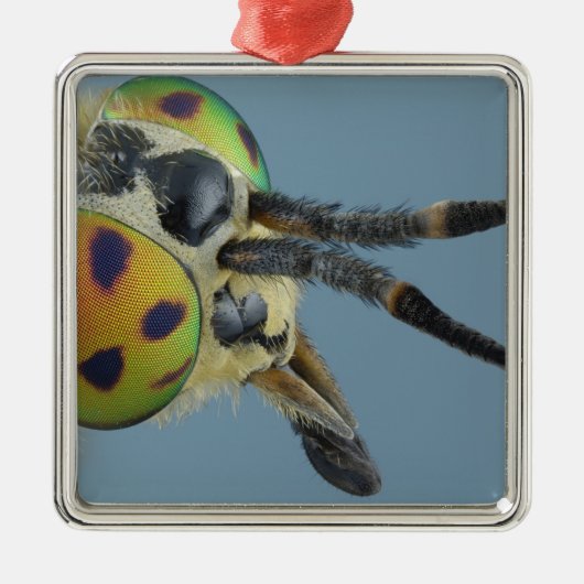 Hoofd van de hertenvlieg metalen ornament (Voorkant)