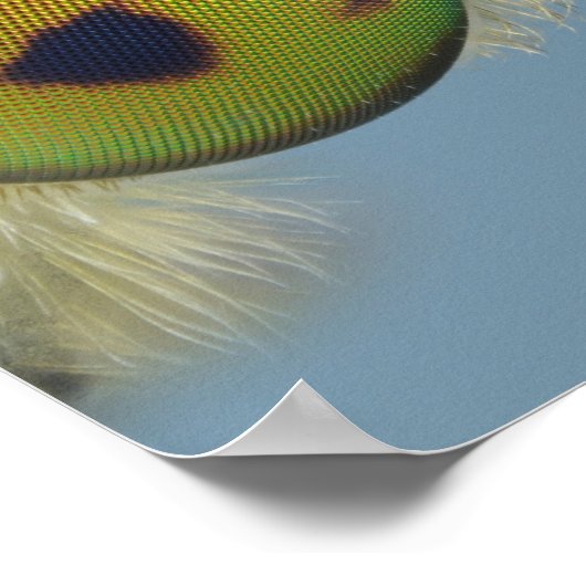 Hoofd van de hertenvlieg poster (Hoek)