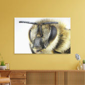 Hoofd van de honingbij canvas afdruk (Insitu (Woonkamer))