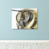 Hoofd van de honingbij canvas afdruk (Insitu (Houten vloer))