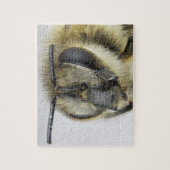 Hoofd van de honingbij legpuzzel (Verticaal)