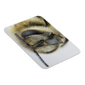 Hoofd van de honingbij magneet (Rechterzijde)