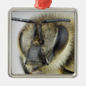 Hoofd van de honingbij metalen ornament (Voorkant)