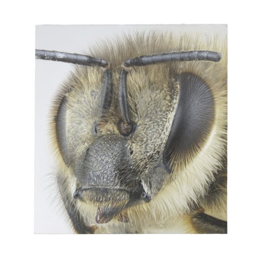 Hoofd van de honingbij notitieblok (Voorkant)