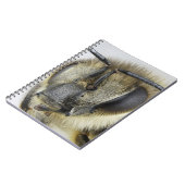 Hoofd van de honingbij notitieboek (Linkerzijde)