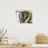 Hoofd van de honingbij poster (Keuken)