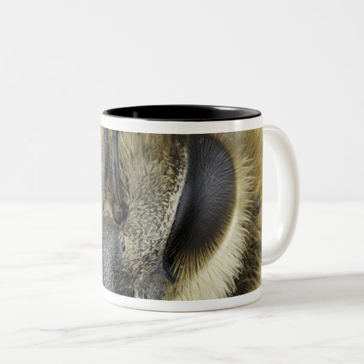 Hoofd van de honingbij tweekleurige koffiemok (Voorkant rechts)