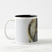 Hoofd van de honingbij tweekleurige koffiemok (Links)