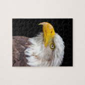 Hoofd van de kale arend op zwart legpuzzel (Horizontaal)