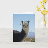 Hoofd van de Lama van de alpaca het Zwart-witte Kaart (Gele Bloem)