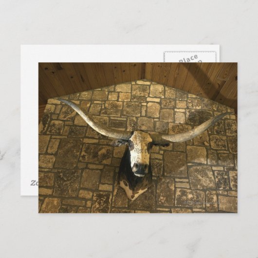 Hoofd van de langwerpstok gemonteerd op de wand briefkaart (Voorkant / Achterkant)