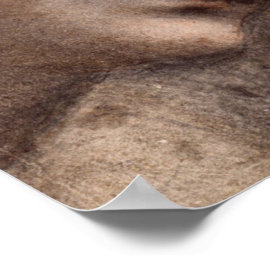 Hoofd van de Maagd Poster (Hoek)