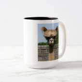 Hoofd van de Mok van PR Alpaca (Voorkant rechts)