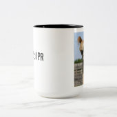 Hoofd van de Mok van PR Alpaca (Center)