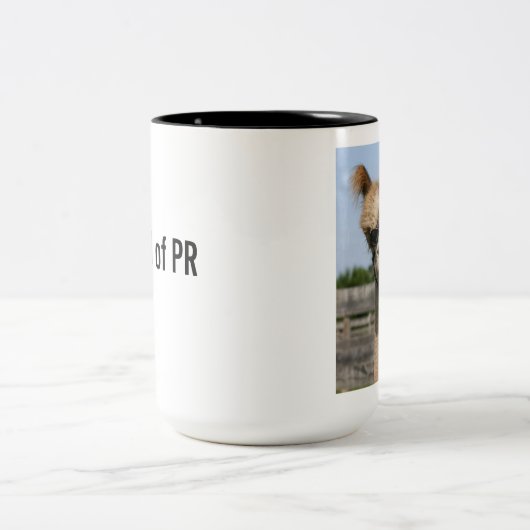 Hoofd van de Mok van PR Alpaca (Center)