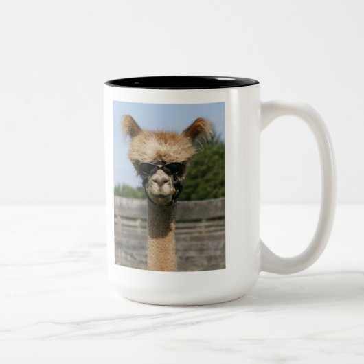 Hoofd van de Mok van PR Alpaca (Rechts)