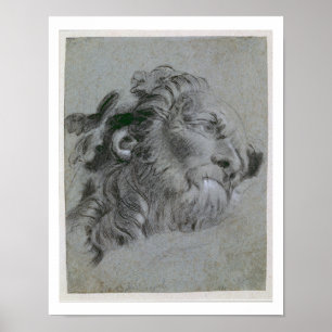 Hoofd van de rivier de God, c.1751 (zwarte krijtac Poster