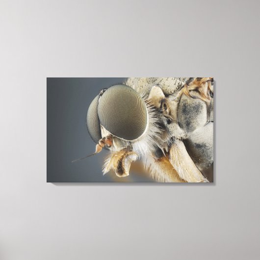 Hoofd van de Snipe Fly Canvas Afdruk (Voorkant)