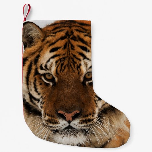 Hoofd van de tijger van Siberië Kleine Kerstsok (Voorkant)