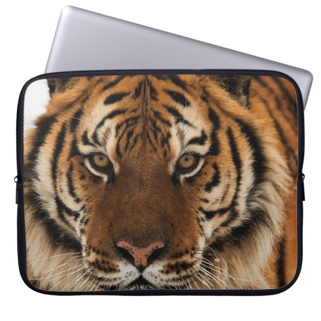 Hoofd van de tijger van Siberië Laptop Sleeve (Voorkant)